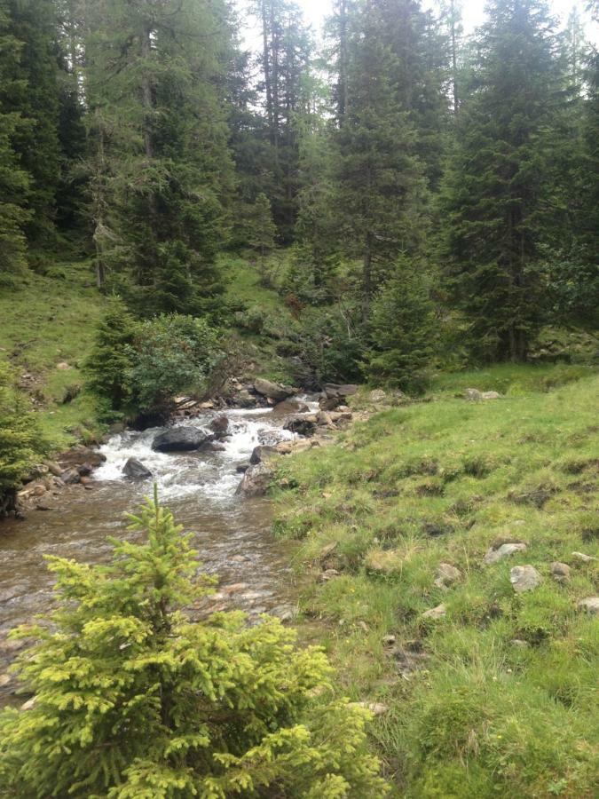 Ferienwohnung Biohof Laussnitzer In Rennweg Rennweg am Katschberg Zewnętrze zdjęcie