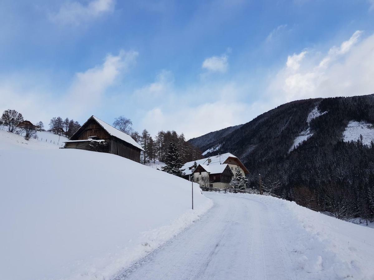 Ferienwohnung Biohof Laussnitzer In Rennweg Rennweg am Katschberg Zewnętrze zdjęcie